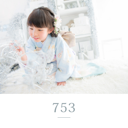 753 撮影メニュー